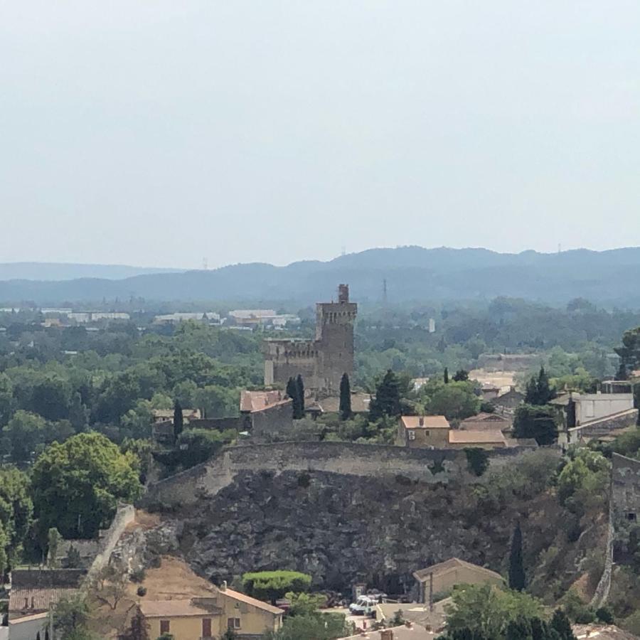 With Avignon